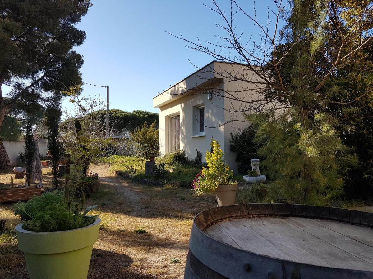 Villa Sunagde, Climatisee, Proche Plage Et Commerces Le Grau-dʼAgde Eksteriør billede